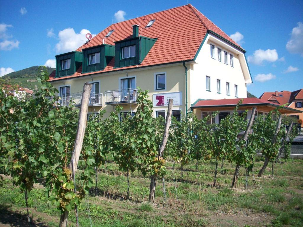 Hotel Garni Weinquadrat Вайсенкірхен-ін-дер-Вахау Екстер'єр фото